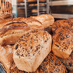 freshly baked bread